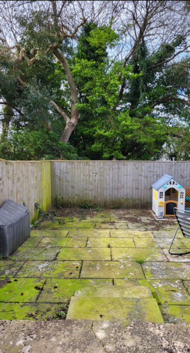 Screenshot 2026-03-30 213411